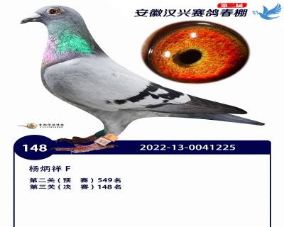 安徽汉兴决赛148名