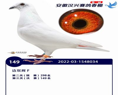安徽汉兴决赛149名
