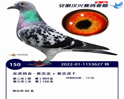 安徽汉兴决赛150名
