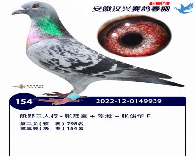 安徽汉兴决赛154名
