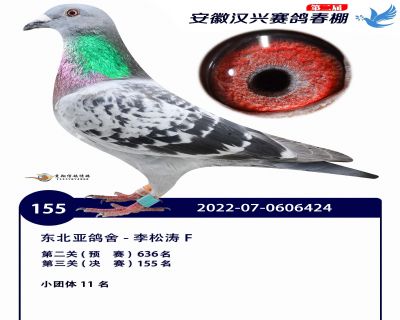 安徽汉兴决赛155名