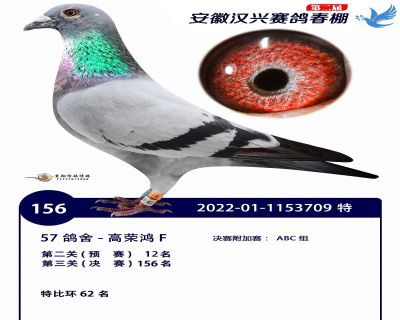 安徽汉兴决赛156名