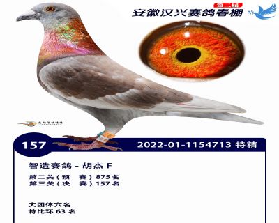 安徽汉兴决赛157名