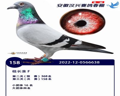 安徽汉兴决赛158名