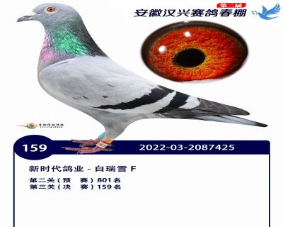 安徽汉兴决赛159名