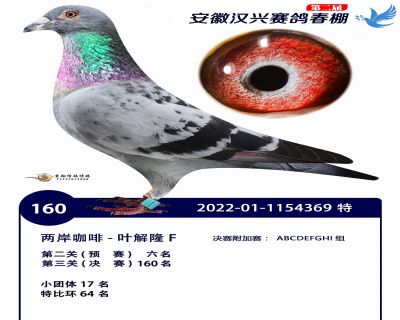 安徽汉兴决赛160名