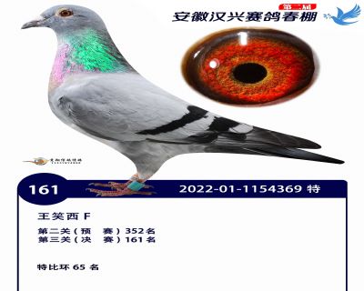 安徽汉兴决赛161名