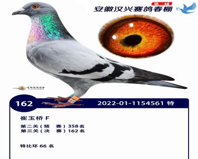 安徽汉兴决赛162名