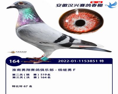 安徽汉兴决赛164名