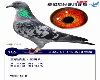 安徽汉兴决赛165名