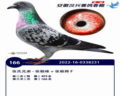 安徽汉兴决赛166名