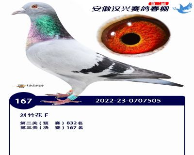 安徽汉兴决赛167名