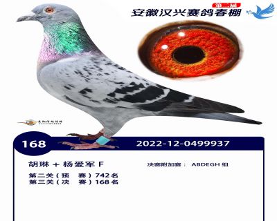 安徽汉兴决赛168名