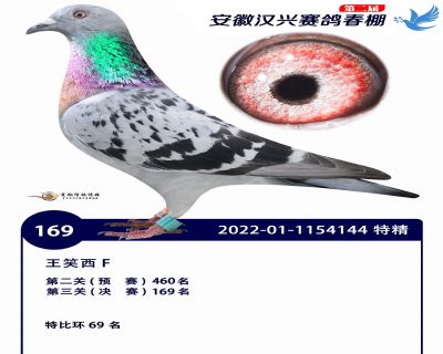 安徽汉兴决赛169名