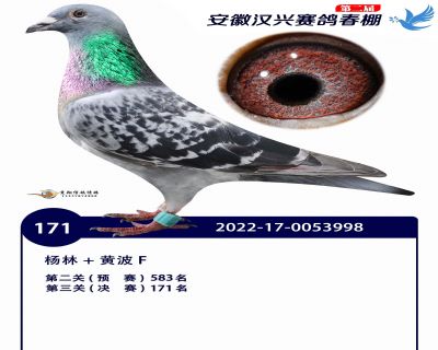 安徽汉兴决赛171名