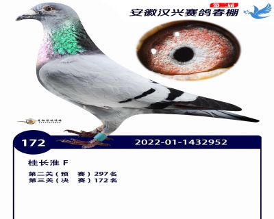 安徽汉兴决赛172名