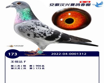 安徽汉兴决赛173名
