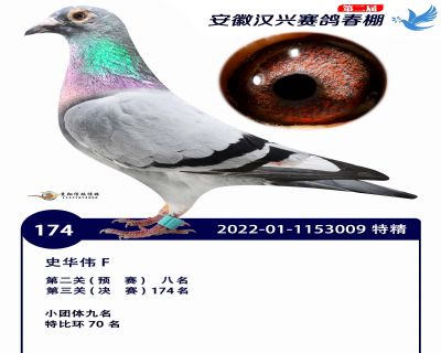 安徽汉兴决赛174名