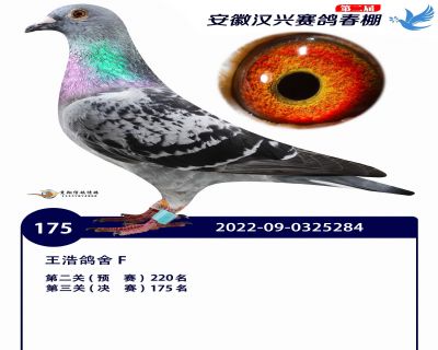 安徽汉兴决赛175名