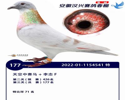 安徽汉兴决赛177名