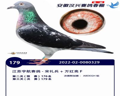 安徽汉兴决赛179名