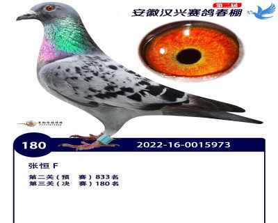 安徽汉兴决赛180名