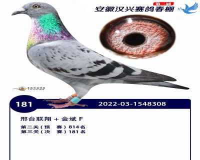 安徽汉兴决赛181名
