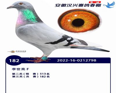 安徽汉兴决赛182名