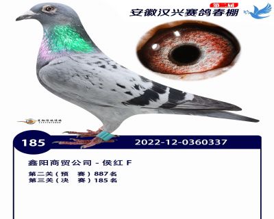 安徽汉兴决赛185名