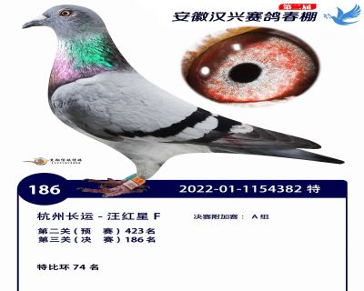 安徽汉兴决赛186名