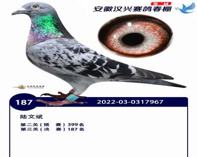 安徽汉兴决赛187名