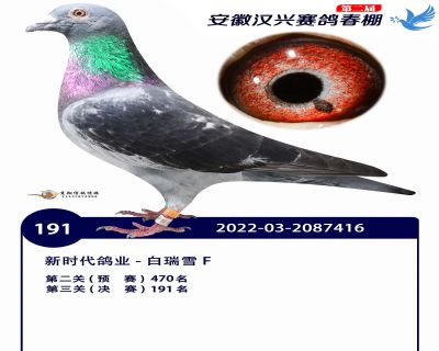 安徽汉兴决赛191名