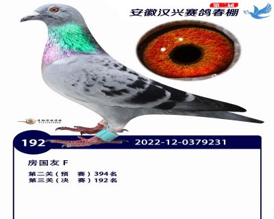 安徽汉兴决赛192名
