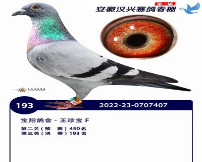 安徽汉兴决赛193名