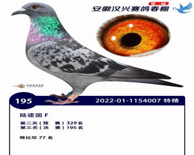 安徽汉兴决赛195名