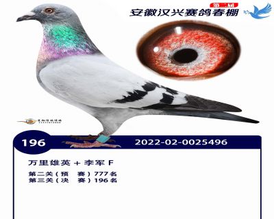安徽汉兴决赛196名