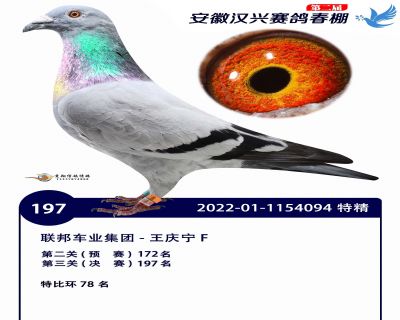 安徽汉兴决赛197名