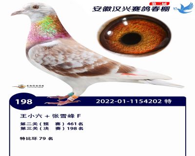 安徽汉兴决赛198名