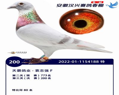 安徽汉兴决赛200名