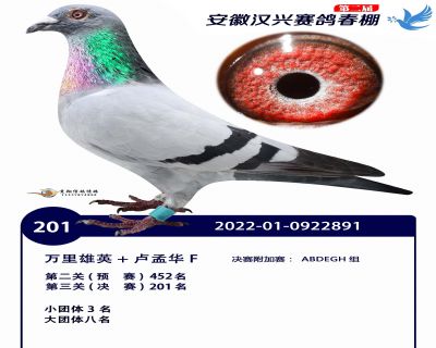 安徽汉兴决赛201名