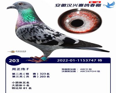 安徽汉兴决赛203名