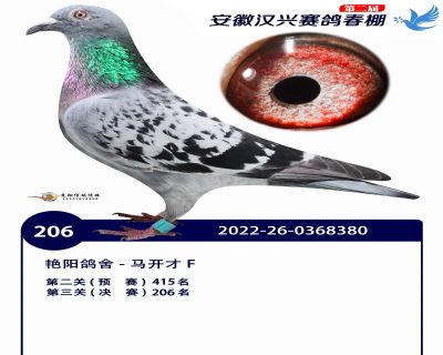 安徽汉兴决赛206名