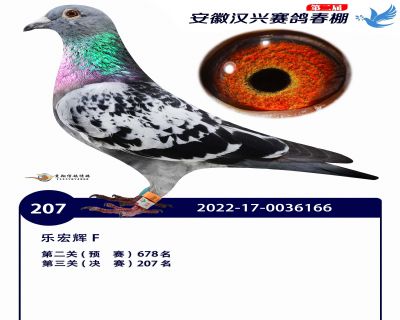 安徽汉兴决赛207名