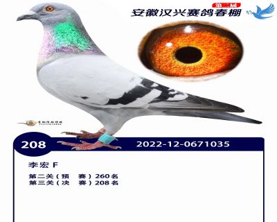 安徽汉兴决赛208名