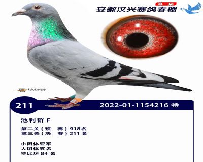 安徽汉兴决赛211名