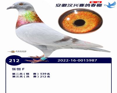 安徽汉兴决赛212名