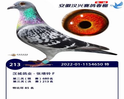 安徽汉兴决赛213名