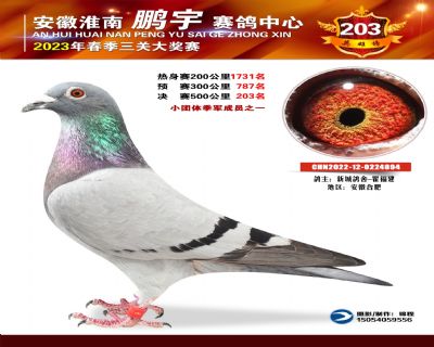 203