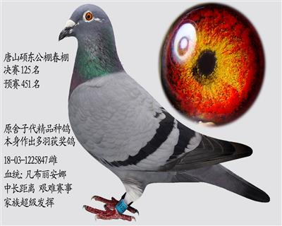 Qِ125  