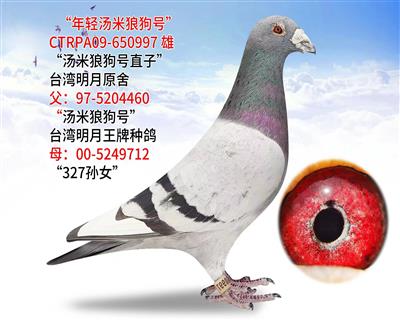 pǹ̖(ho)   (zhn)N֮һ p